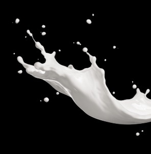 UNION PATE1000 WHITE